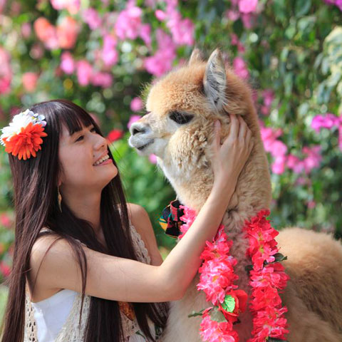 ã«ã¡ã©å¥³åã«ãå§ããããç¥æžã®æ®åœ±ã¹ããããå³éž