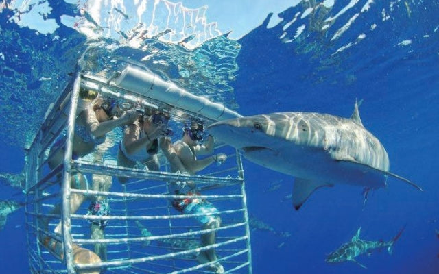 ハワイ・オアフ島のアクティビティ10選 旅の充実度がUPするツアーはコレ!