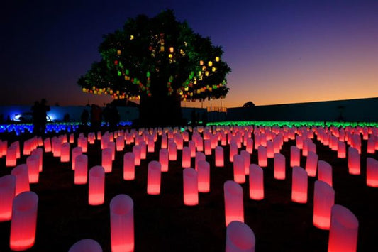 愛知県内でおすすめの冬の注目イベントを厳選