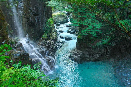 岐阜観光で宿泊したいプールがあるホテル・旅館を厳選