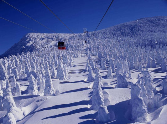 宮城県でお勧めの観光名所を厳選