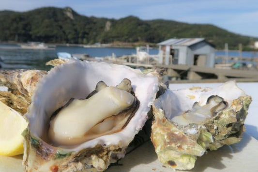夏だって牡蠣が食べたい! 鳥羽市が断然オススメ+αで観光も楽しもう