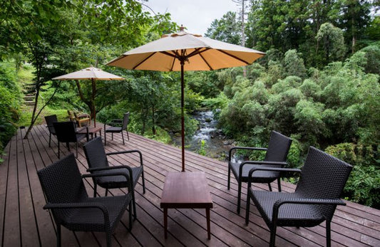 é岡çã§æ¥µäžã®ãè¶ïŒæ¹è¶ã«åºäŒããã«ãã§ãå³éž