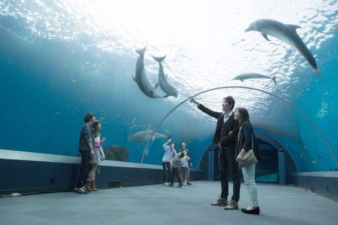 八景島シーパラダイス アーチ水槽