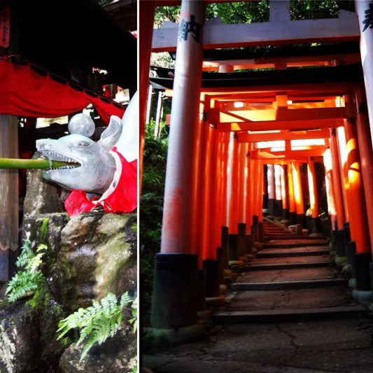 ã京éœåºãééééããªãïŒ ãã¯ãŒã¹ãããç¥ç€Ÿ