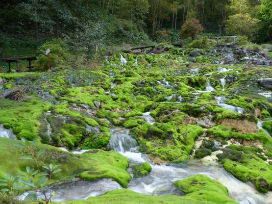 群馬県のインスタ映えするスポット厳選9選