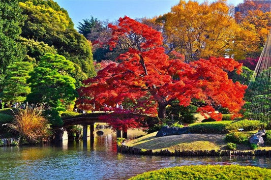 東京のちょっと変わったお勧めデートスポットまとめ