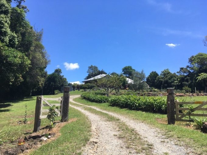 オーストラリア・ゴールドコーストのおすすめ観光スポット