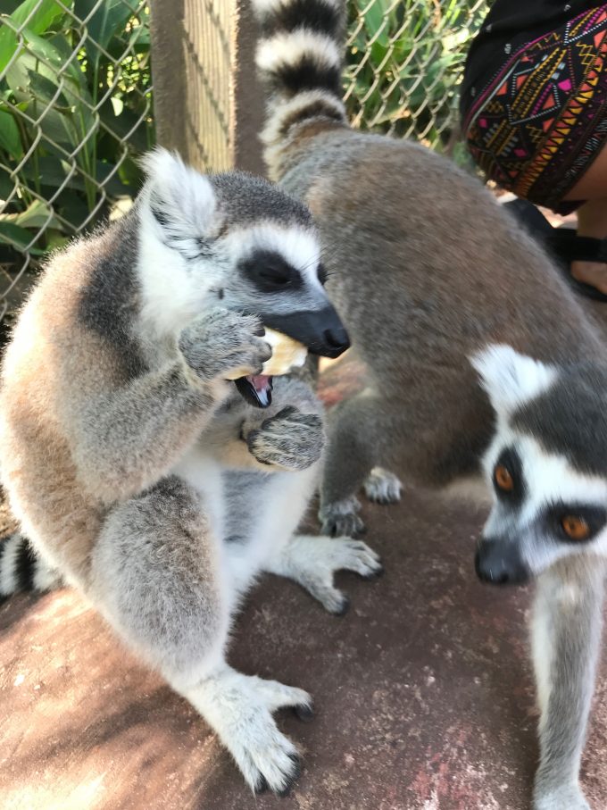 ベトナムにて今人気急上昇中！フーコック島のおすすめ観光名所を厳選