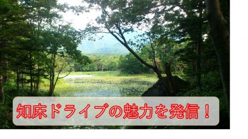 一度は行って欲しい絶対おすすめ知床ドライブ