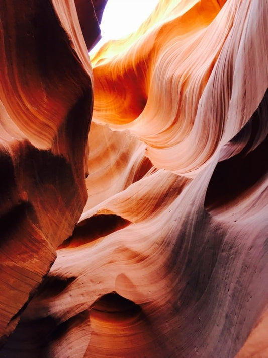 ラスベガスでおさえておきたい人気観光スポット