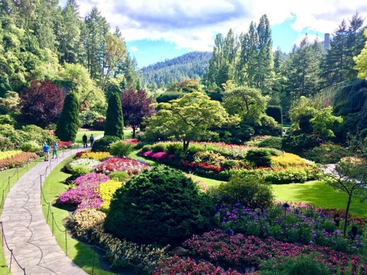 女子旅にもってこい観光スポット！花の都ビクトリアの魅力