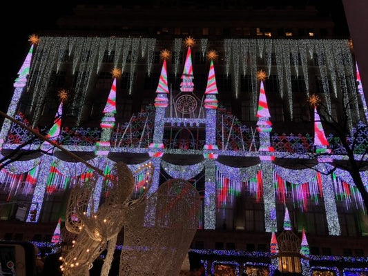 冬だからこそ行ってみたい！極寒ニューヨークのおすすめ観光スポット