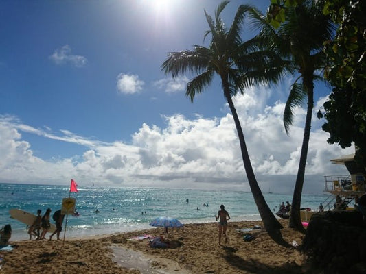 海外初心者さんでも安心、ホノルルの定番観光スポットまとめ