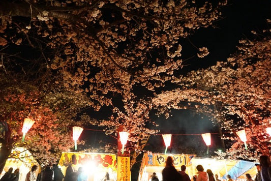 埼玉県でおすすめのお花見スポットを厳選