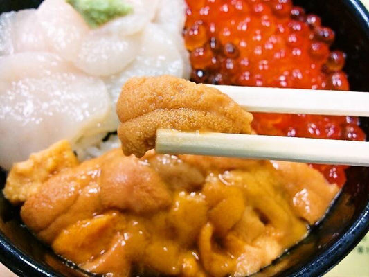 函館観光を１日でしっかりと廻れるモデルコース