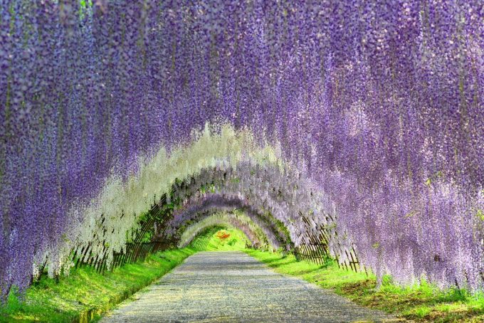 北九州エリアを1日で回る２つの観光モデルコース