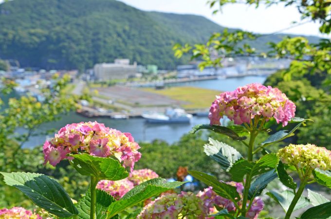 静岡県のインスタ映えするスポット厳選16選