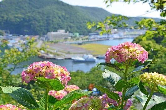 静岡県のインスタ映えするスポット厳選16選