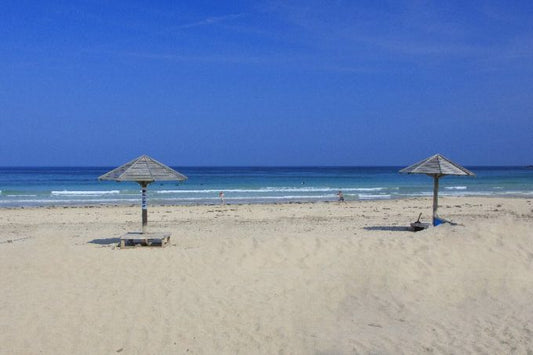 伊豆でおすすめの極上ビーチを厳選