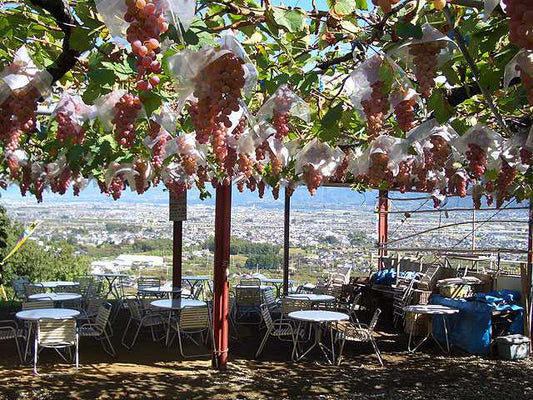 塚原山フルーツ農場ふかさわ