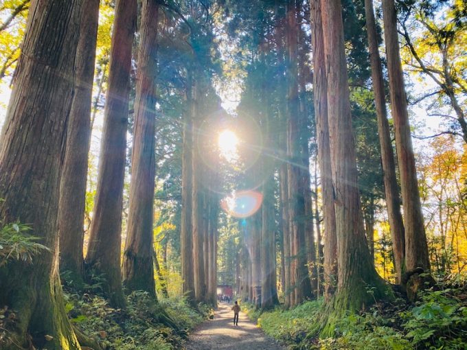 戸隠神社の見どころ＆戸隠そばのオススメ店を厳選