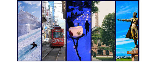 札幌観光名所ランキング