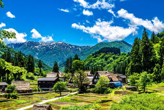 五箇山合掌造り集落の見どころを厳選