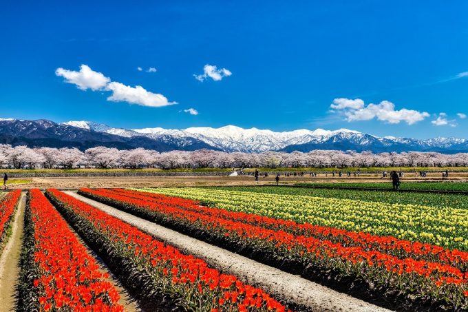 富山県のインスタ映えスポット２０選