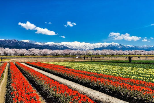 富山県のインスタ映えスポット２０選