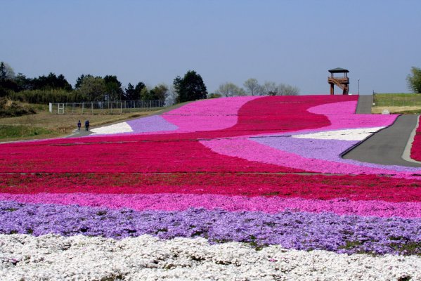 栃木県でおすすめの観光名所を厳選