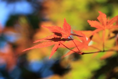 10月に北海道を満喫するならお勧めの観光名所