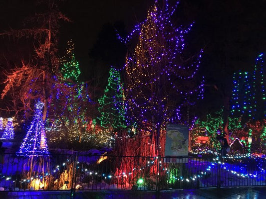 バンクーバーの冬を楽しむイルミネーションスポットまとめ