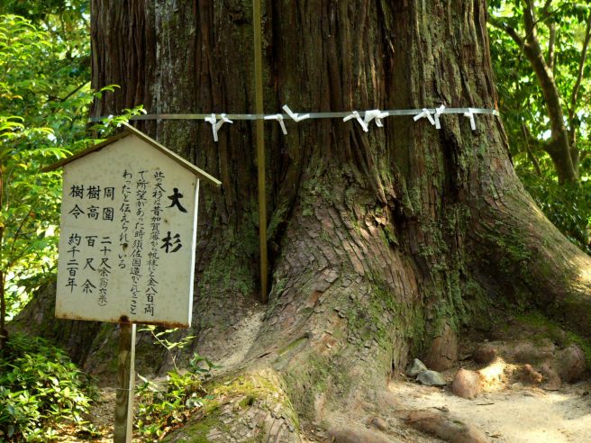 須佐神社