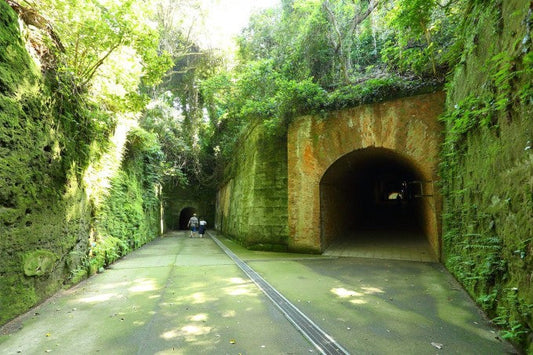 神奈川県でおすすめ観光名所を厳選