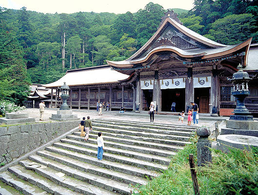 【鳥取県】開運間違いなし！ パワースポットとして知られる神社10選