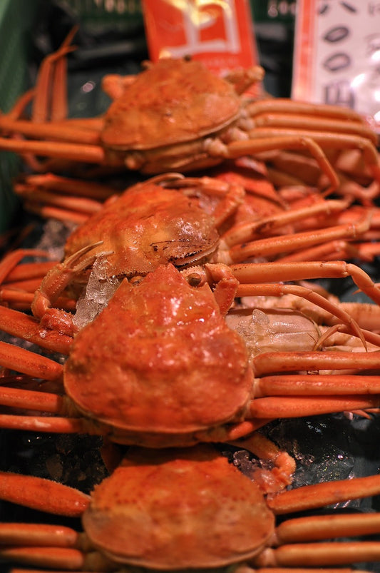 北海道の美味しくて安い蟹の購入の仕方教えます