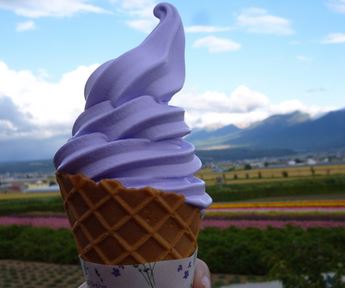 北海道のソフトクリーム厳選集