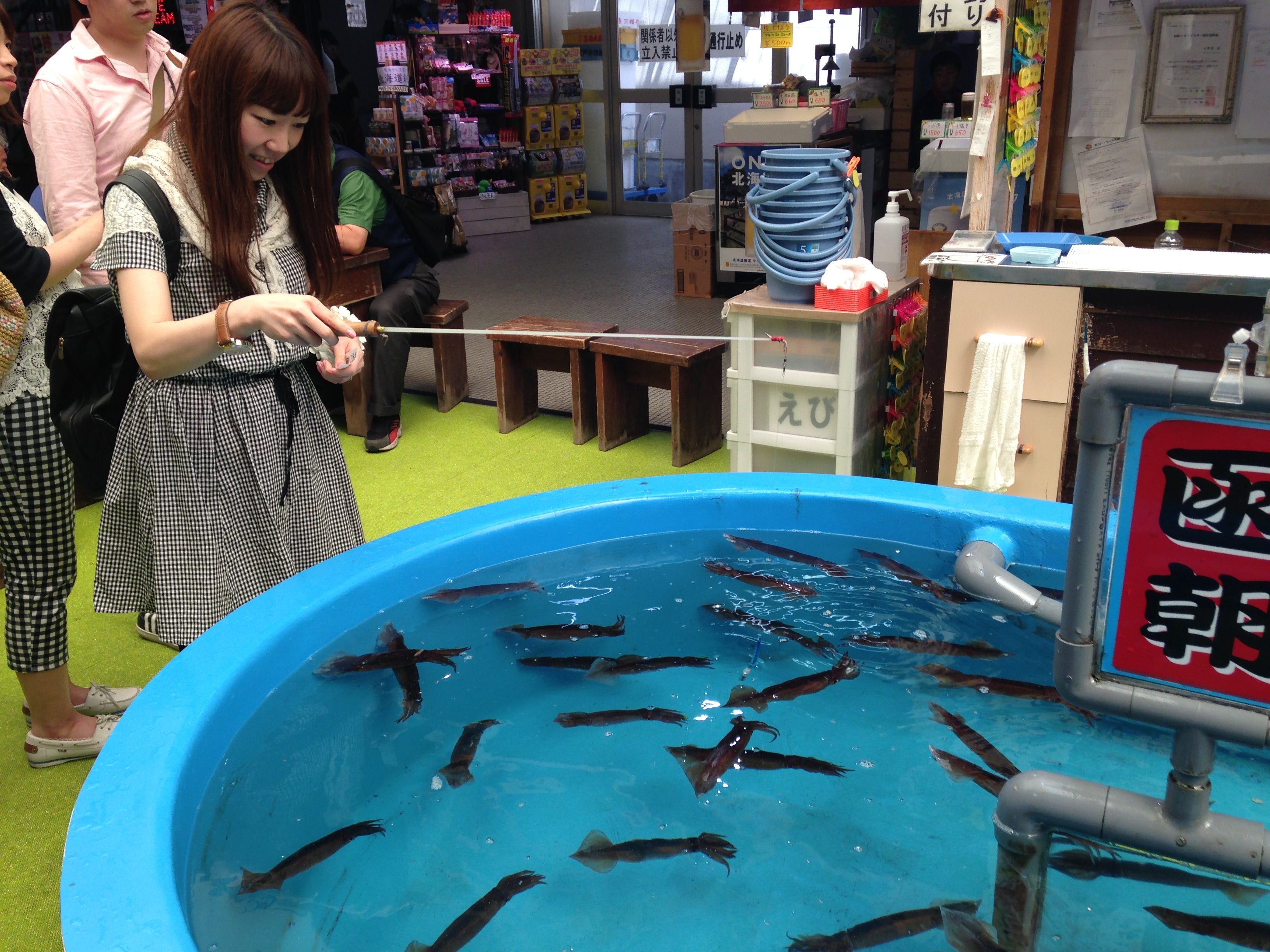 函館朝市ではいか釣りも可能