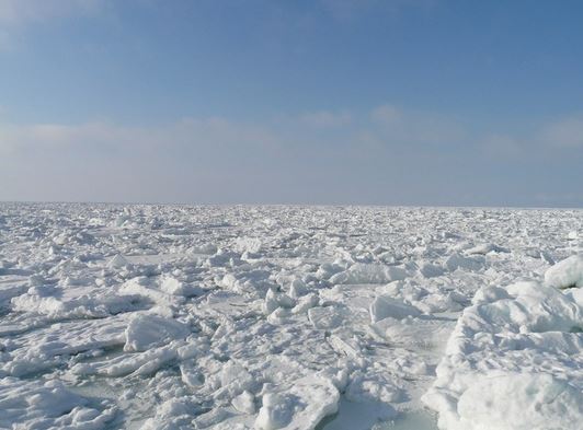 流氷ウォーク