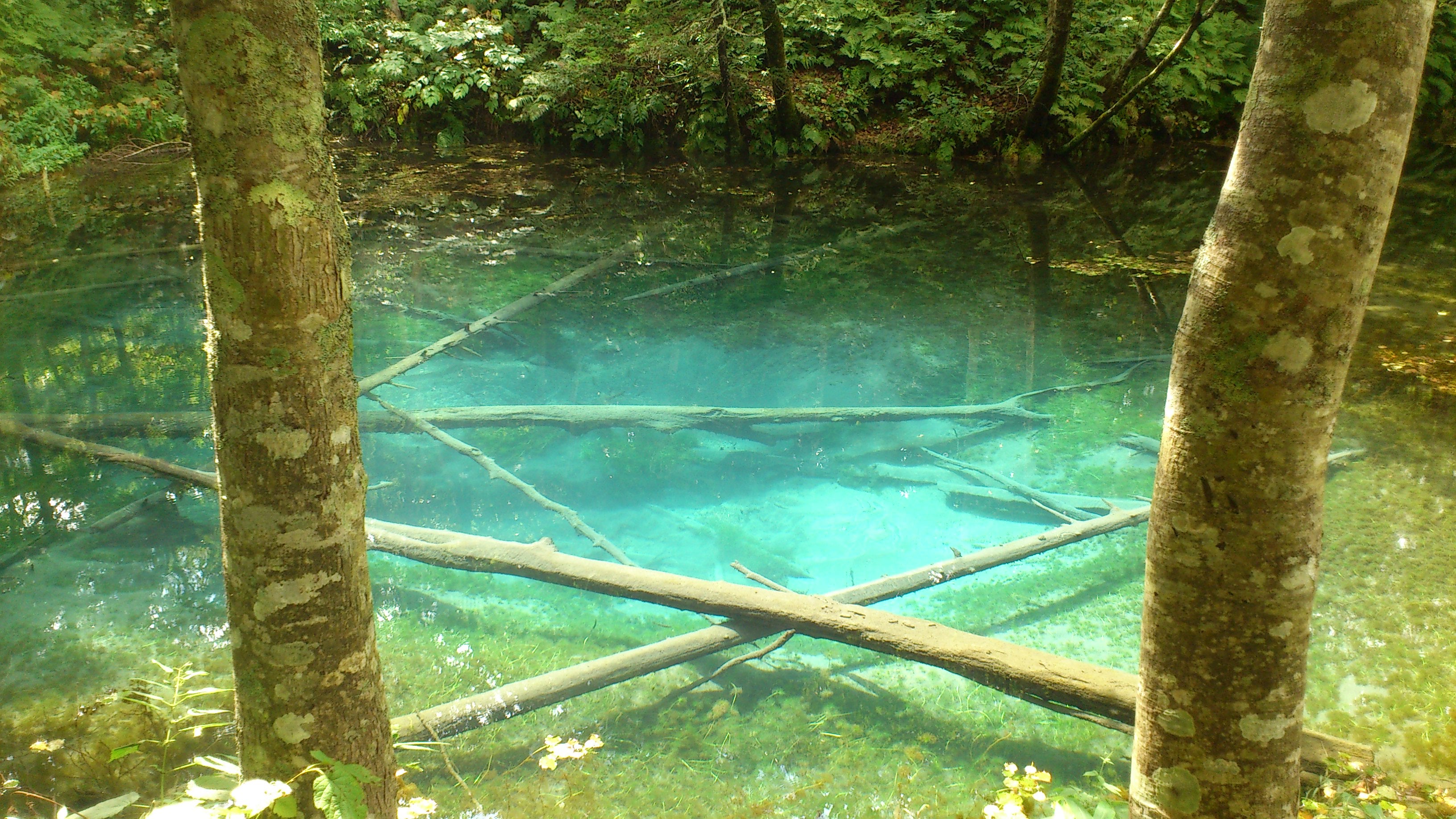 神の小池